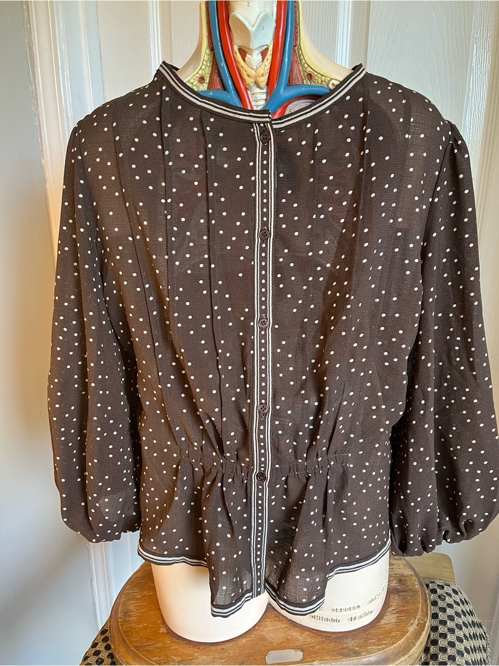 Max Studio Brown Polka Dot Button-Front Blouse with Trim